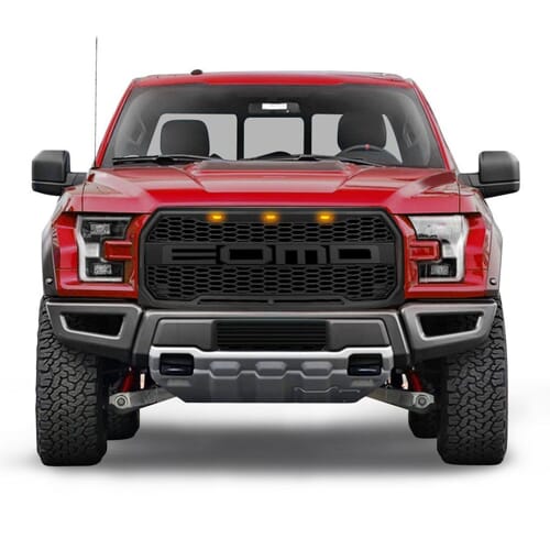 Ford F150-Mesh Grille
